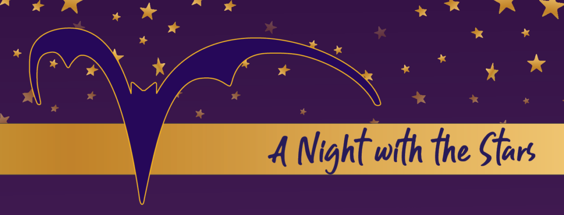 A night with the stars